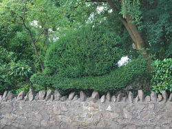 Day 224 - 12 August - Topiary Snail Malvern