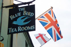 Day 219 - 7 August - Bluebird Tearooms Malvern