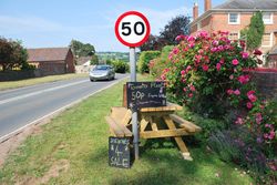 Day 189 - 8 July - Produce for Sale roadside Cradley