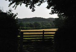 Day 186 - 5 July - Summer Field Mathon West Malvern sunshine 2013