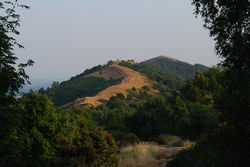 Day 202 - 21 July - Perseverence Hill Malvern Summer Evening