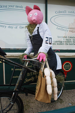 Day 195 - 14 July - Colwall Scarecrow Festival 2013 Pig on a bike