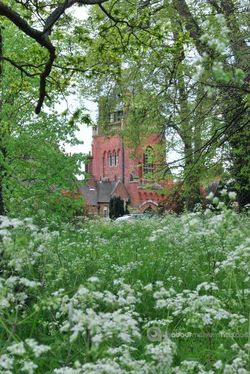 Day 136 - 16 May - Beauchamp Community Newland Malvern