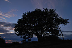 Day 251 - 8 September - Black Hill Malverns Sunset Autumn