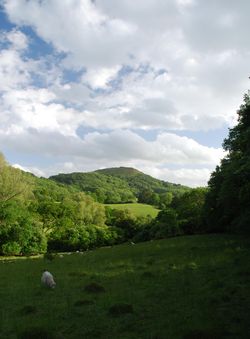 Day 166 - 15 June - The British Camp Herefordshire Beacon Malvern Hills Summer 2013