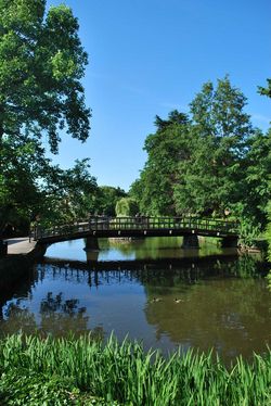 Day 191 - 10 July - Priory Park Malvern Boating Lake Summer 2013 sunshine