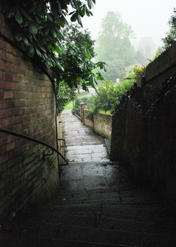 Day 149 - 29 May - 99 steps Malvern Rosebank Gardens St Ann's Well spring rain