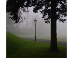 29 April - Morning Fog