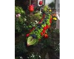 8 May - Great Malvern Floral Festival - The Hungry Caterpillar - Forget Me Not Florists