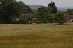 Day 183 - 2 July - Poolbrook Common Malvern