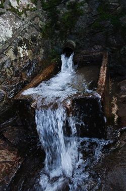 Day 11 - 11 January - Malvern Spring Water