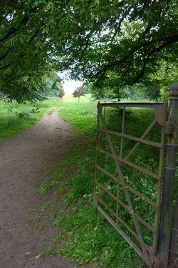 Day 168 - 17 June - Malvern Common Gate Summer 2013