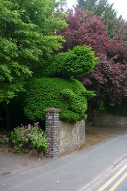 Day 169 - 18 June - Topiary Squirrel Malvern