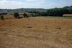 Day 244 - 1 September - Harvest Fields Ledbury