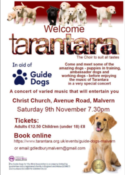 Charity Concert for Guide Dogs - Ledbury and Malvern - 