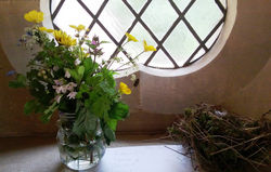 Day 147 - 27 May - Wild Flowers Coddington Church Spring