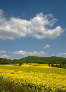 Day 154 - 3 June - Herefordshire Beacon British Camp Malvern Hills Spring Summer Blue Skies fields summer