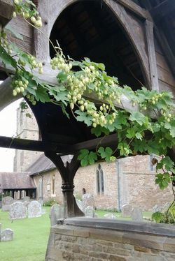 Day 266 - 23 September - Mathon Church Lychgate